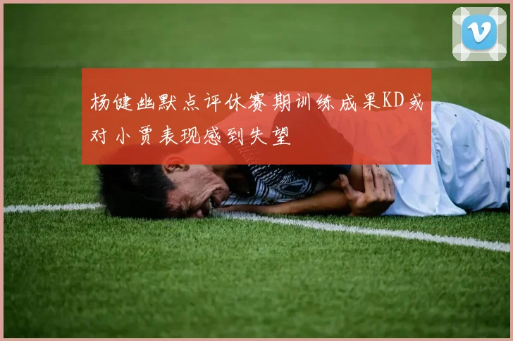 杨健幽默点评休赛期训练成果KD或对小贾表现感到失望