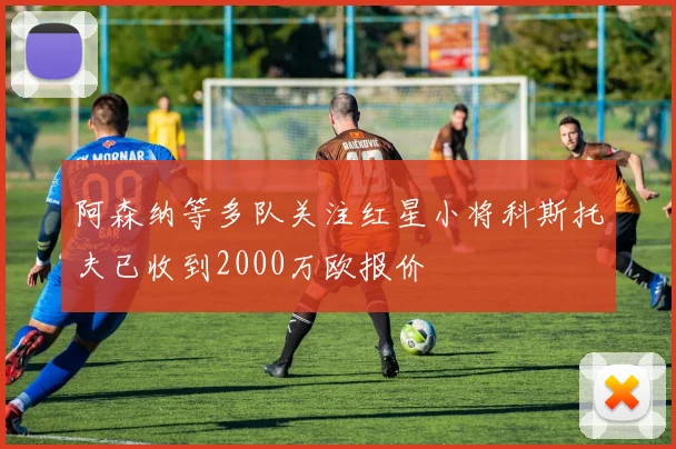 阿森纳等多队关注红星小将科斯托夫已收到2000万欧报价
