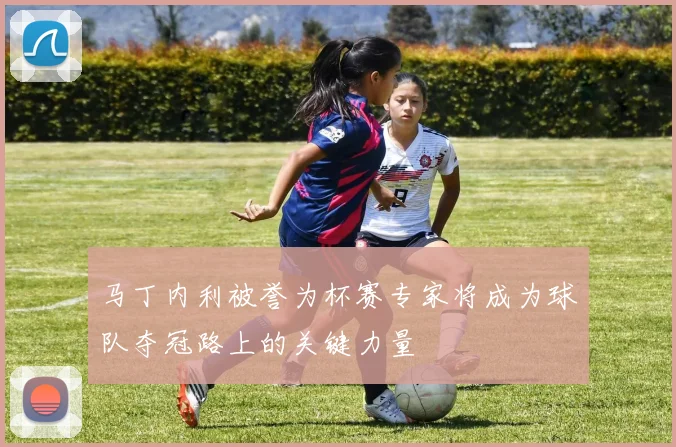 马丁内利被誉为杯赛专家将成为球队夺冠路上的关键力量
